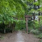 新緑が美しい