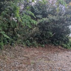 一部残る土塁
