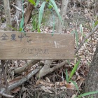 小学生の励まし