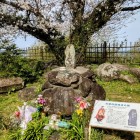 ②	天草四郎の碑