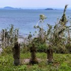 ④	大矢野島に向かって立つ仏像