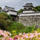 ⑧	下之橋御門に咲くツツジ