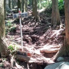⑥	登山道（木の根多し注意）