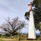 ③	天草四郎の碑と十字架
