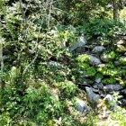 ⑤	山頂にある石積