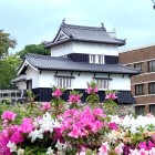 ⑦	潮見櫓に咲くツツジ