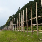 馬防柵①
