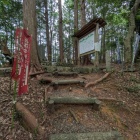 鳶ヶ巣山の陣