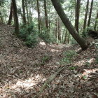 ⑥三郭先の堀切