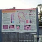 ⑧太田黒田遺跡説明板