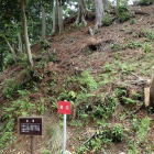 ⑧切岸