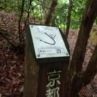 ②トレイル２９