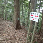 ⑥分岐点