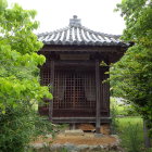 ⑥須賀陣屋