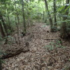 ③登り土塁(これを登ればよかった？)