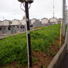 ②土塁跡