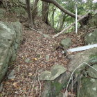 ③空堀と竪堀