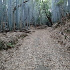 ⑦登城路