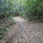 ⑥登城路
