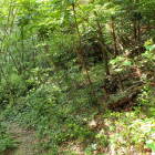 ④登城路