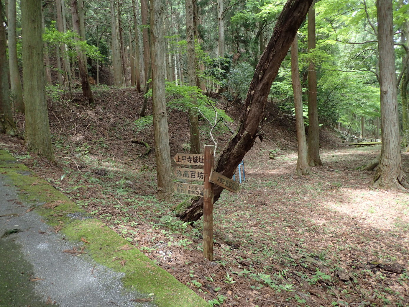 ①京極氏庭園跡