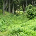 ③大堀切2