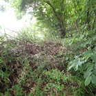 ②入口付近の土塁跡