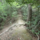 ⑤土橋(両端は竪堀)