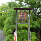 ⑤血天井