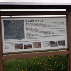 ②堀井城跡説明板