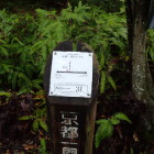 ④トレイル３１