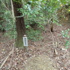 ④堀切