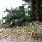 土塁跡
