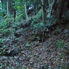 ②石積みと城塁