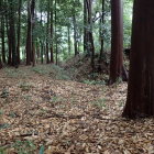 ①土塁と堀