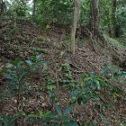②城塁
