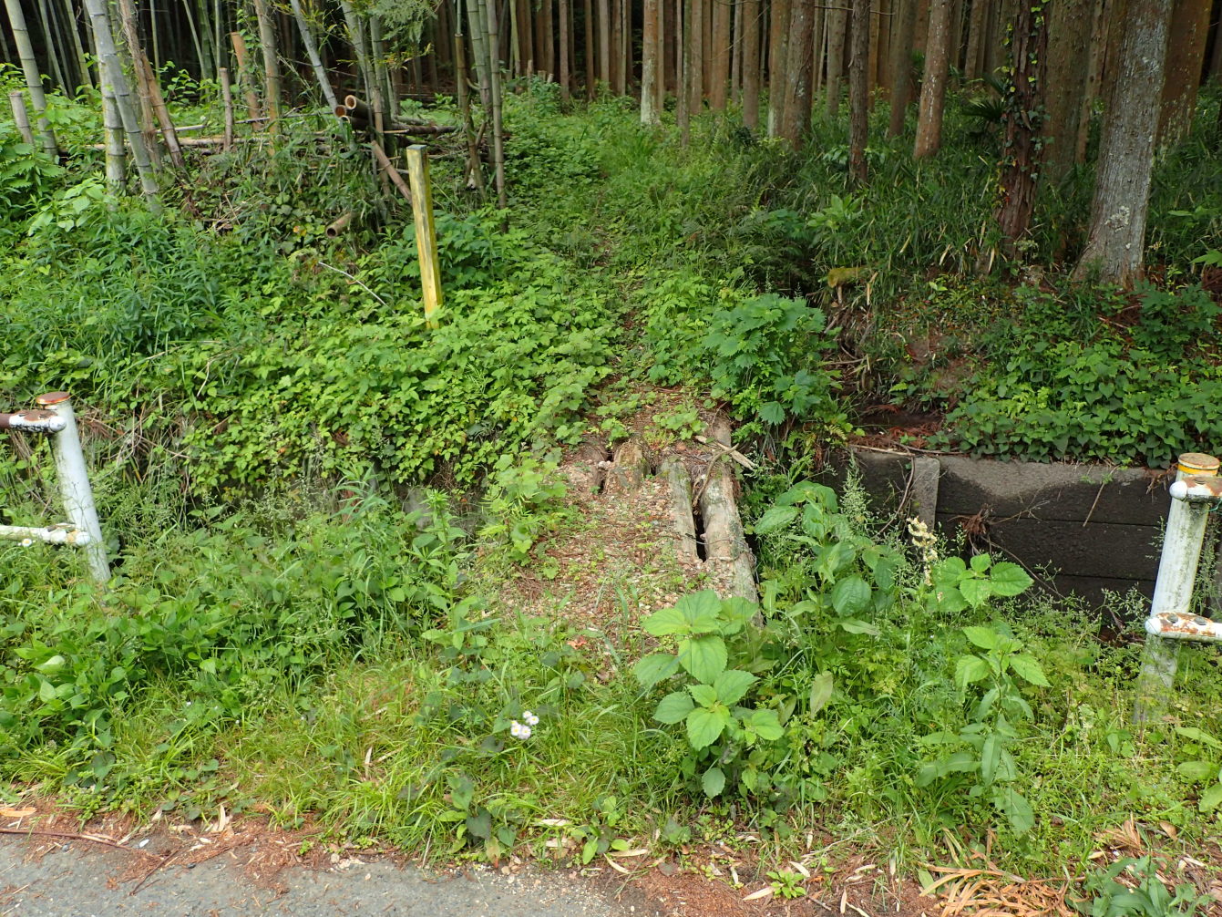 登城口