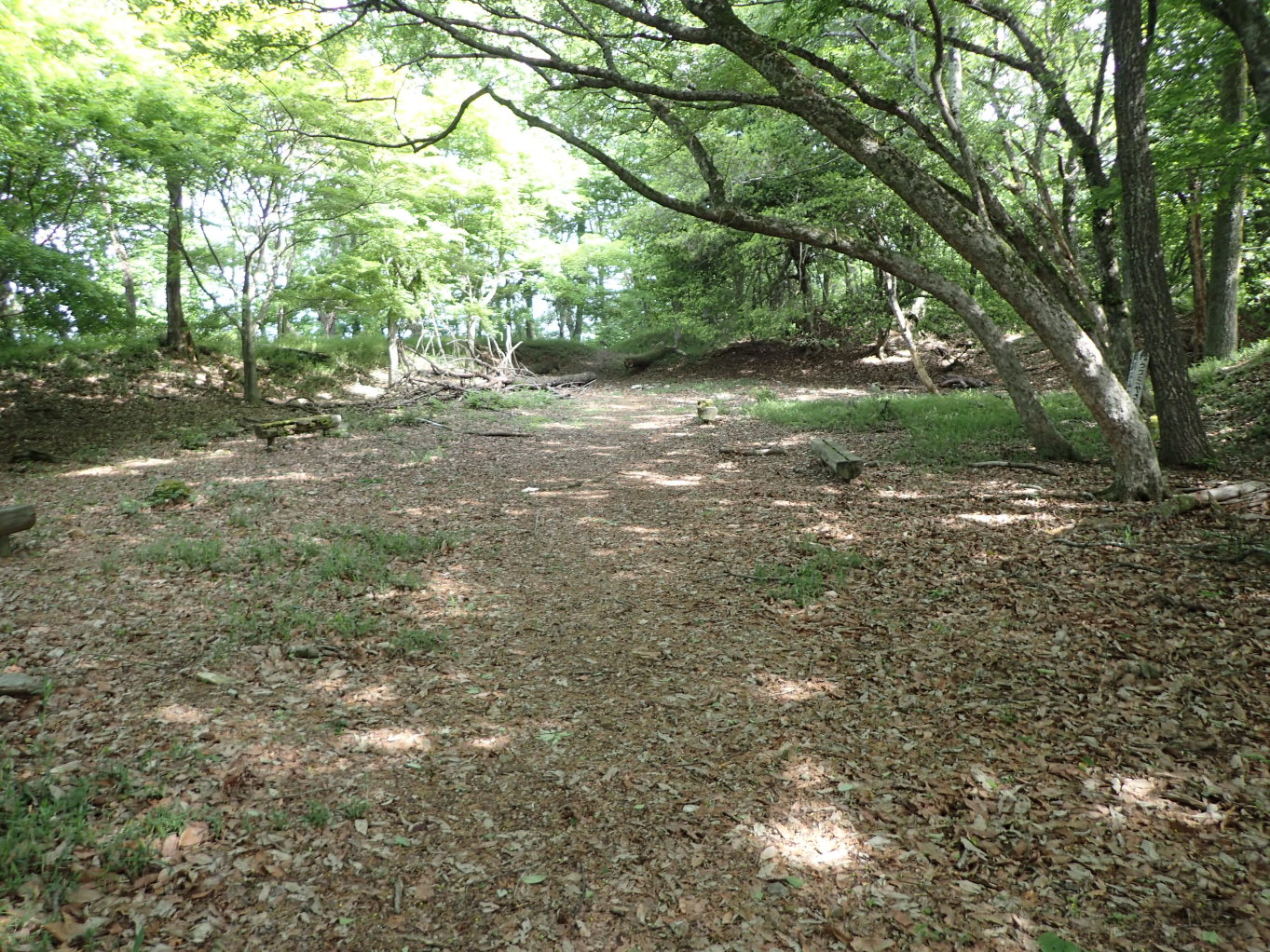①一郭(主郭内部)