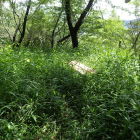 ②草に埋もれたﾍﾞﾝﾁ