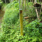 消えかかった標識