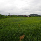 ③土塁遠景