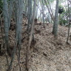 土塁