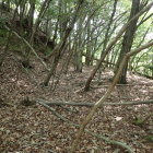 ⑦城塁