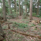 ⑤三郭かな