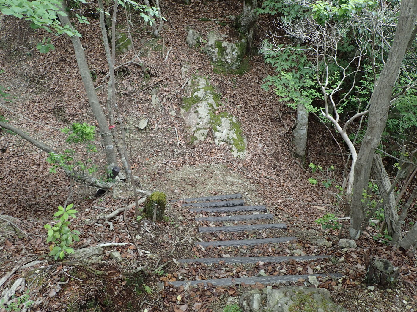 ①大堀切