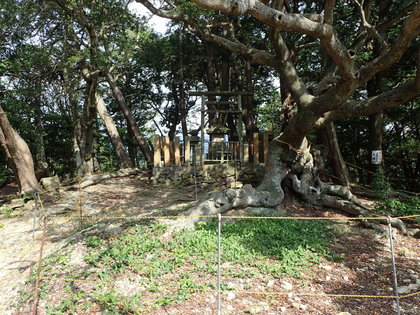①一郭の雨山神社