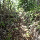 ③登城路