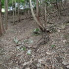 ⑤登城路