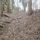 ③二郭から見た主郭