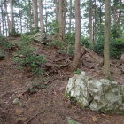 ⑥石垣or岩